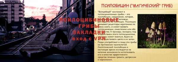 эйфоретик Осташков