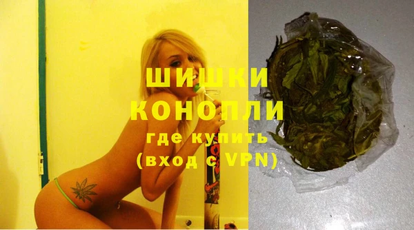 прущая мука Няндома