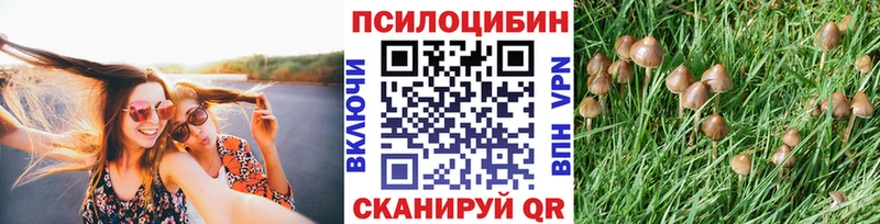 Галлюциногенные грибы ЛСД  МЕГА рабочий сайт  Усолье 